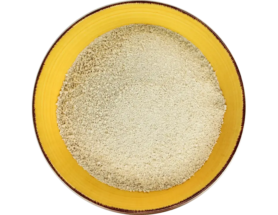 Gari